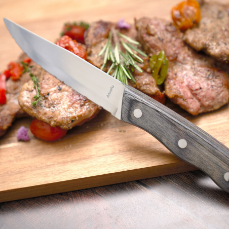 Lot de 4 Couteaux de Table Inox - Marque Opinel | Alia Nature